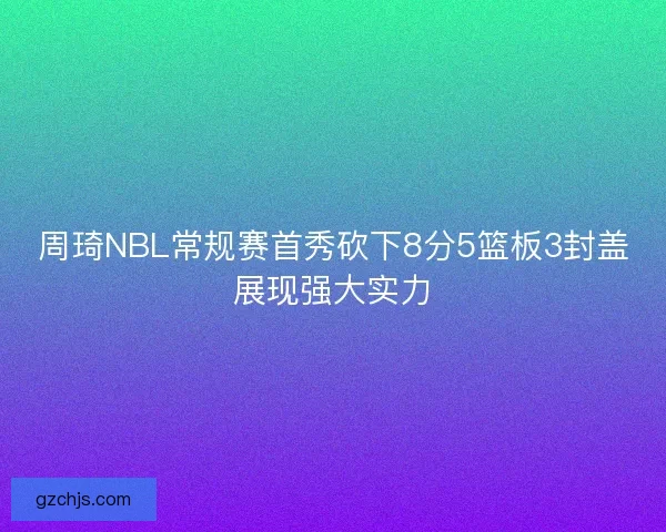 周琦NBL常规赛首秀砍下8分5篮板3封盖展现强大实力